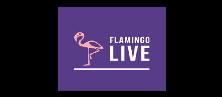 flamingoUAE21 768x336