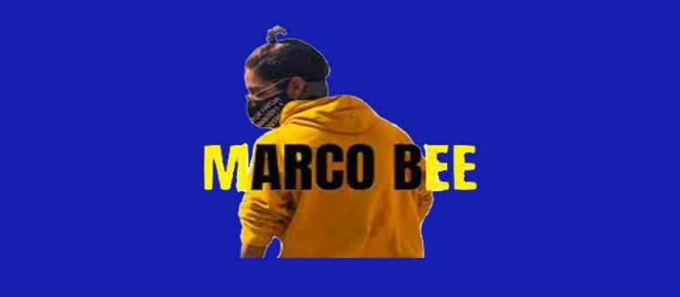 marcobee111 768x336